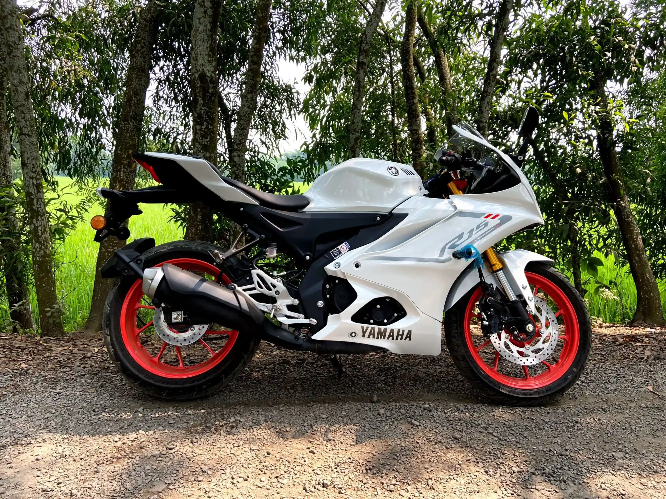Özel sedefli boya ile boyanmış motosiklet grenaj parçası